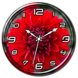 Red Dahlia Clock Live WP