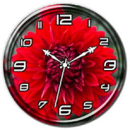 Red Dahlia Clock Live WP आइकन