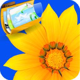 MY Pictur Album 5.1
