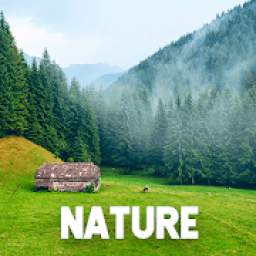 Best Nature Wallpaper