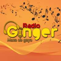 Hindi Song s| Latest songs Music App: Radio Ginger logo