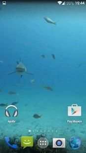 Sharks. Video Wallpaper screenshot 7