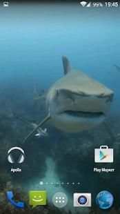Sharks. Video Wallpaper स्क्रीनशॉट 4