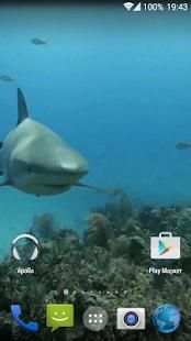Sharks. Video Wallpaper स्क्रीनशॉट 8