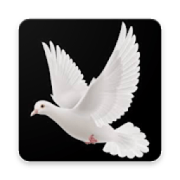 A Bird Chase आइकन