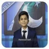 Hammad Safi