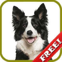 Animal Sounds Animal List icon