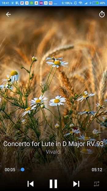 Relaxing Classical Music screenshot 7
