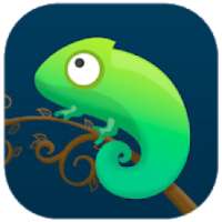 Anole Launcher for Android Tips