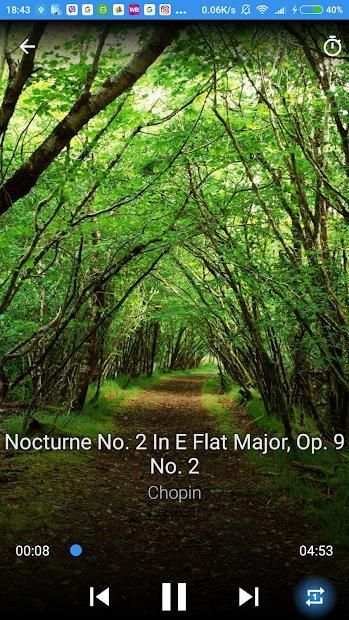 Relaxing Classical Music screenshot 2