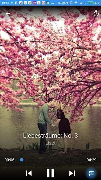 Relaxing Classical Music screenshot 1