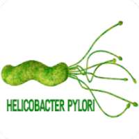 Helicobacter Pylori