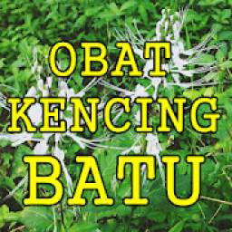 Mengobati Kencing Batu Dengan Ramuan Tradisional