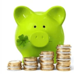 PAYTM CASH WALLET icon