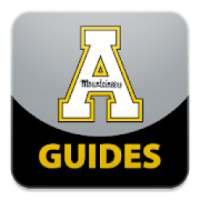 AppState Guides on 9Apps