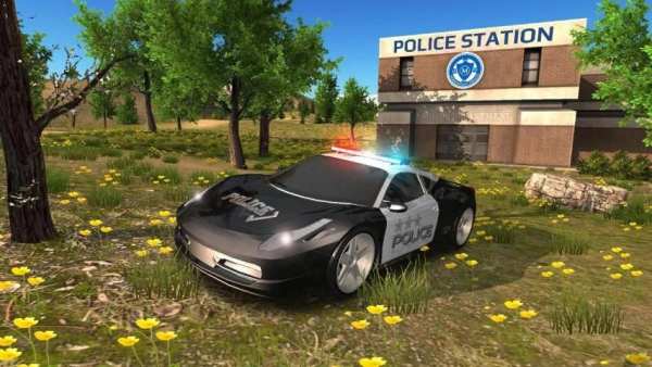 Police Car Driving Offroad screenshot 7