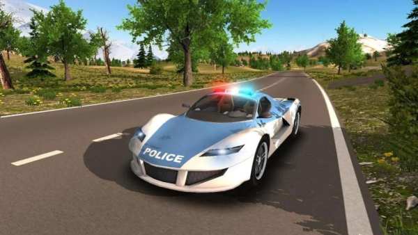 Police Car Driving Offroad screenshot 6