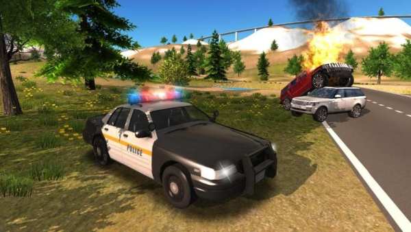 Police Car Driving Offroad screenshot 2
