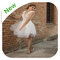 Sexy Short Wedding Dress icon