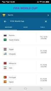 FIFA World Cup screenshot 2
