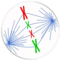 Mitosis and Meiosis on 9Apps