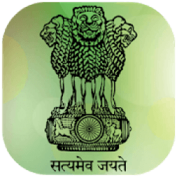 Online Visa Application icon