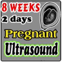 8 Weeks 2 Days Pregnant Ultrasound Guide