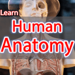 ikon Anatomy Learning Human offline