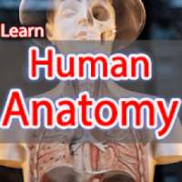 Anatomy Learning Human offline on 9Apps