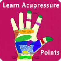 Acupressure Points Understanding Videos