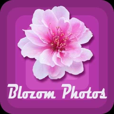 Blozom Photos 1 تصوير الشاشة