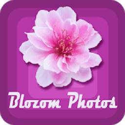 BlozomPhoto 1.0