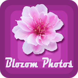 Blozom Photos आइकन
