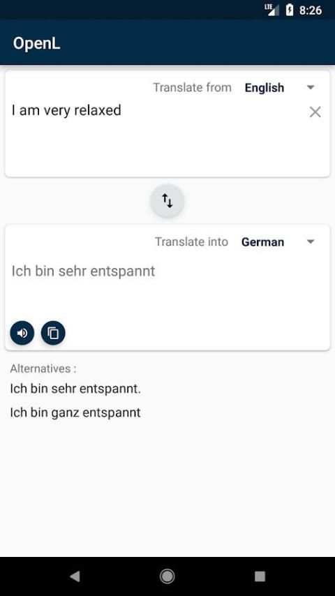 OpenL Translator screenshot 4