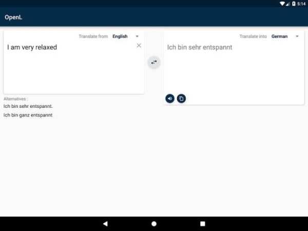 OpenL Translator screenshot 1