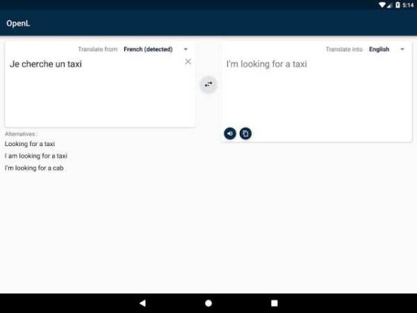 OpenL Translator screenshot 2