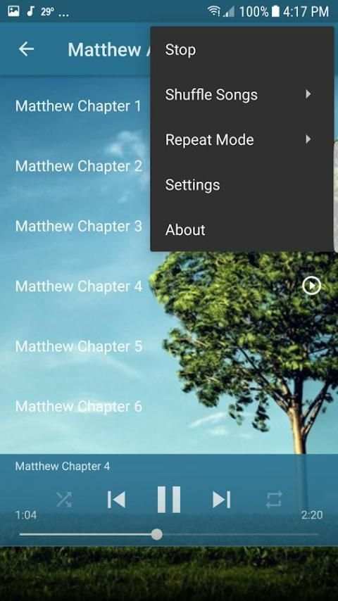 Audio Bible NIV Free скриншот 1