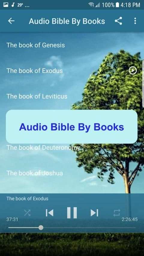 Audio Bible NIV Free скриншот 3
