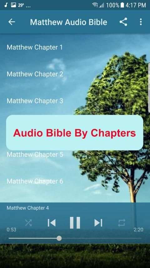 Audio Bible NIV Free скриншот 2