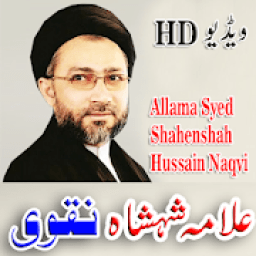 ikon Allama Syed Shahenshah Hussain Naqvi