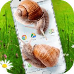 Snail in Phone best joke