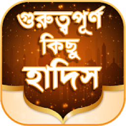 হাদিস শরীফ- বাংলা হাদিস বই- হাদিসের গল্প icon