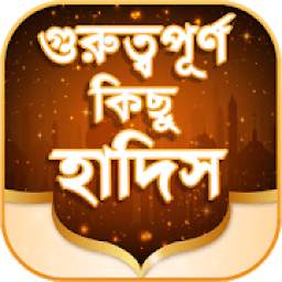 গুরুত্বপূর্ণ হাদিস সমূহ 1.4