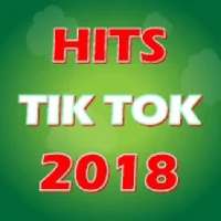 Lagu Hits TIK TOK 2018 on 9Apps