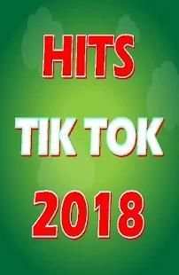 Lagu Hits TIK TOK 2018 screenshot 1