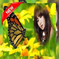 Butterfly Photo frame on 9Apps