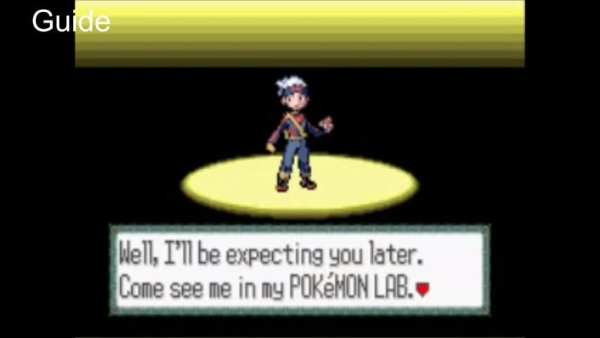 CODE For Pokemon Ruby(GBA) screenshot 1