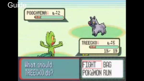 CODE For Pokemon Ruby(GBA) screenshot 4