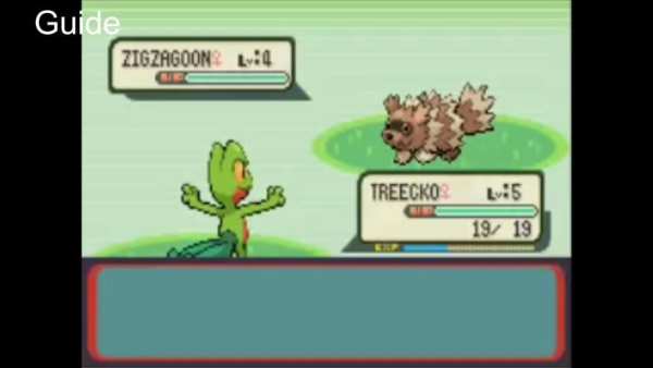 CODE For Pokemon Ruby(GBA) screenshot 5
