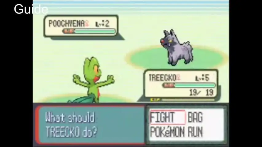 CODE For Pokemon Ruby(GBA) स्क्रीनशॉट 4